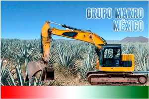 grupo makro abre nuevamente sus puertas en la ciudad de mexico portada